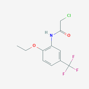 molecular formula C11H11ClF3NO2 B7755951 2-chloro-N-(2-ethoxy-5-(trifluoromethyl)phenyl)acetamide 
