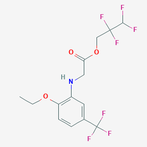 molecular formula C14H14F7NO3 B7756230 2,2,3,3-Tetrafluoropropyl 2-[2-ethoxy-5-(trifluoromethyl)anilino]acetate 