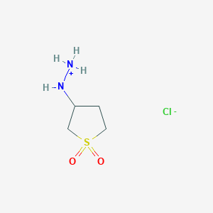 molecular formula C4H11ClN2O2S B7757067 [(1,1-Dioxothiolan-3-yl)amino]azanium;chloride 