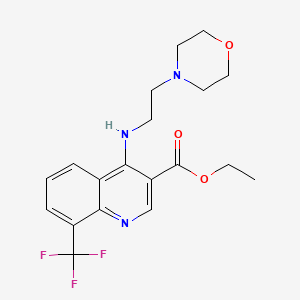 molecular formula C19H22F3N3O3 B7759082 Ethyl 4-(2-morpholin-4-ylethylamino)-8-(trifluoromethyl)quinoline-3-carboxylate 