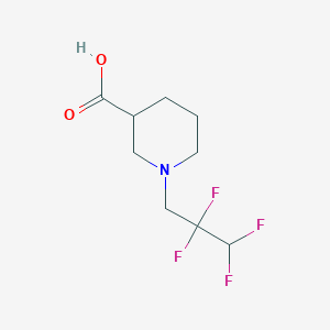 molecular formula C9H13F4NO2 B7762732 1-(2,2,3,3-Tetrafluoropropyl)-3-piperidinecarboxylic acid CAS No. 937602-79-4