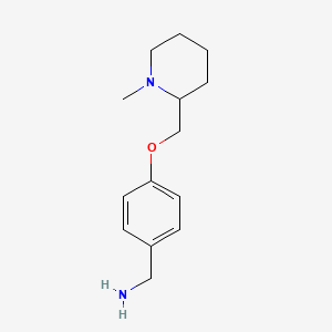 molecular formula C14H22N2O B7762789 [4-[(1-Methylpiperidin-2-yl)methoxy]phenyl]methanamine 