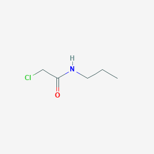 molecular formula C5H10ClNO B077628 2-chloro-N-propylacetamide CAS No. 13916-39-7