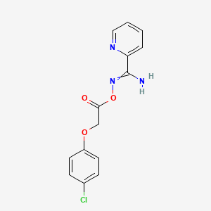 molecular formula C14H12ClN3O3 B7764075 [[Amino(pyridin-2-yl)methylidene]amino] 2-(4-chlorophenoxy)acetate 