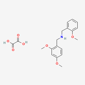 molecular formula C19H23NO7 B7764458 1-(2,4-dimethoxyphenyl)-N-[(2-methoxyphenyl)methyl]methanamine;oxalic acid 