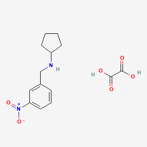 molecular formula C14H18N2O6 B7764469 N-[(3-nitrophenyl)methyl]cyclopentanamine;oxalic acid 
