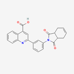 molecular formula C24H18N2O4 B7764981 2-[3-(1,3-dioxo-1,3,3a,4,7,7a-hexahydro-2H-isoindol-2-yl)phenyl]quinoline-4-carboxylic acid 