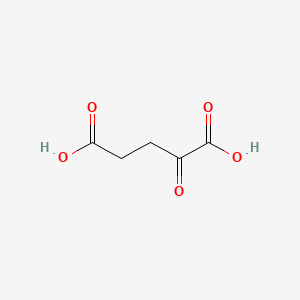 molecular formula C5H6O5 B7765302 2-氧代戊二酸 CAS No. 34410-46-3