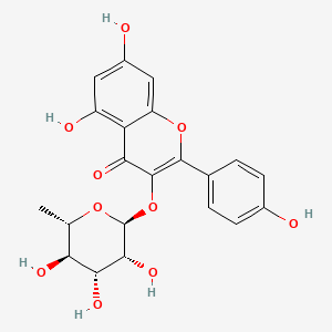 molecular formula C21H20O10 B7765603 阿魏酸 CAS No. 786711-07-7