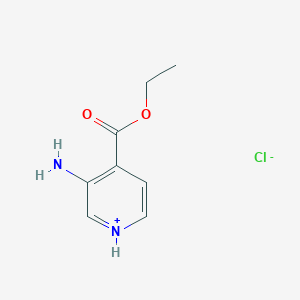 molecular formula C8H11ClN2O2 B7765921 Ethyl 3-aminopyridin-1-ium-4-carboxylate;chloride 
