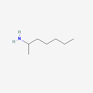 molecular formula C7H17N B7766575 Tuaminoheptane CAS No. 44652-67-7