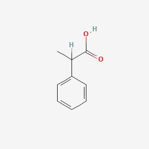 molecular formula C9H10O2 B7766743 2-苯基丙酸 CAS No. 2328-24-7