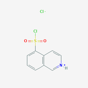 molecular formula C9H7Cl2NO2S B7768010 Isoquinolin-2-ium-5-sulfonyl chloride;chloride 