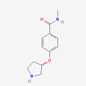 molecular formula C12H16N2O2 B7770292 (S)-N-Methyl-4-(pyrrolidin-3-yloxy)benzamide 
