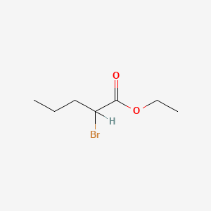 molecular formula C7H13BrO2 B7770380 Ethyl 2-bromovalerate CAS No. 112889-44-8