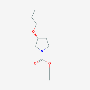 molecular formula C12H23NO3 B7771149 1-Boc-(R)-3-(n-propoxy)pyrrolidine 