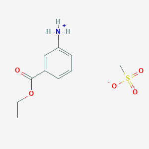 molecular formula C10H15NO5S B7771447 Metacaine 
