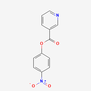 molecular formula C12H8N2O4 B7772270 4-Nitrophenyl nicotinate 