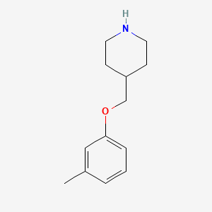 molecular formula C13H19NO B7774907 4-[(3-Methylphenoxy)methyl]piperidine CAS No. 63608-41-3