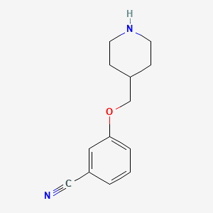 molecular formula C13H16N2O B7774912 3-[(Piperidin-4-yl)methoxy]benzonitrile 