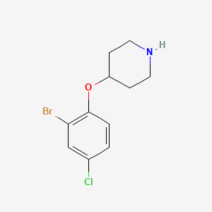 molecular formula C11H13BrClNO B7774916 4-(2-Bromo-4-chlorophenoxy)piperidine 