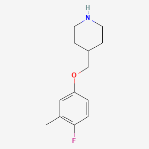 molecular formula C13H18FNO B7774918 4-[(4-Fluoro-3-methylphenoxy)methyl]piperidine 