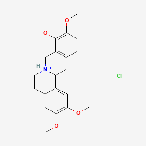 molecular formula C21H26ClNO4 B7776090 Berbine, 2,3,9,10-tetramethoxy-, hydrochloride 