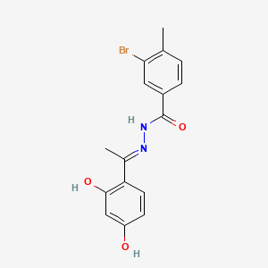 molecular formula C16H15BrN2O3 B7776723 3-Bromo-N'-(1-(2,4-dihydroxyphenyl)ethylidene)-4-methylbenzohydrazide 