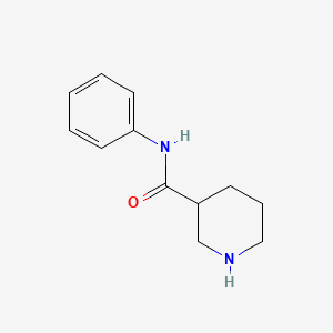 N-Phenylpiperidine-3-carboxamide