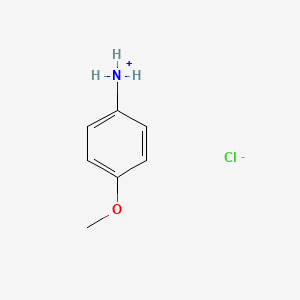 molecular formula C7H10ClNO B7779860 4-Methoxyanilinium chloride 