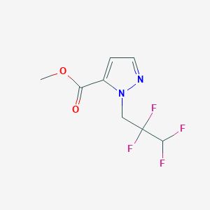 molecular formula C8H8F4N2O2 B7785465 methyl 1-(2,2,3,3-tetrafluoropropyl)-1H-pyrazole-5-carboxylate 