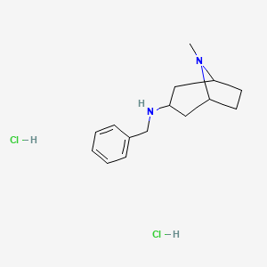molecular formula C15H24Cl2N2 B7788875 N-benzyl-8-methyl-8-azabicyclo[3.2.1]octan-3-amine Dihydrochloride 