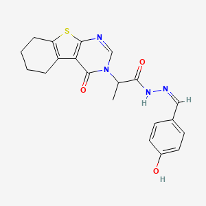 molecular formula C20H20N4O3S B7789519 N-[(Z)-(4-hydroxyphenyl)methylideneamino]-2-(4-oxo-5,6,7,8-tetrahydro-[1]benzothiolo[2,3-d]pyrimidin-3-yl)propanamide 