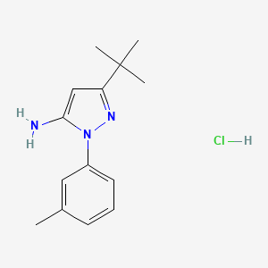 molecular formula C14H20ClN3 B7790077 5-Tert-butyl-2-(3-methylphenyl)pyrazol-3-amine;hydrochloride 