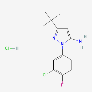 molecular formula C13H16Cl2FN3 B7790085 5-Tert-butyl-2-(3-chloro-4-fluorophenyl)pyrazol-3-amine;hydrochloride 