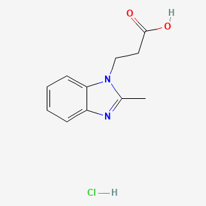molecular formula C11H13ClN2O2 B7791518 3-(2-Methyl-benzoimidazol-1-YL)-propionic acid hydrochloride 