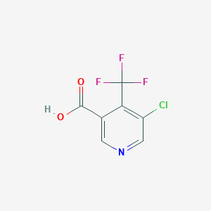 molecular formula C7H3ClF3NO2 B7791664 5-Chloro-4-(trifluoromethyl)nicotinic acid CAS No. 796090-28-3