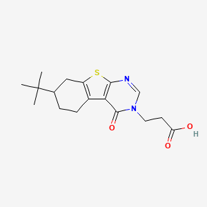 molecular formula C17H22N2O3S B7792337 3-{11-Tert-butyl-3-oxo-8-thia-4,6-diazatricyclo[7.4.0.0^{2,7}]trideca-1(9),2(7),5-trien-4-yl}propanoic acid 
