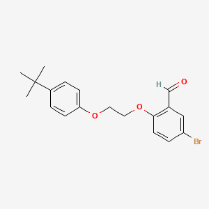 molecular formula C19H21BrO3 B7793483 5-Bromo-2-[2-(4-tert-butylphenoxy)ethoxy]benzaldehyde 