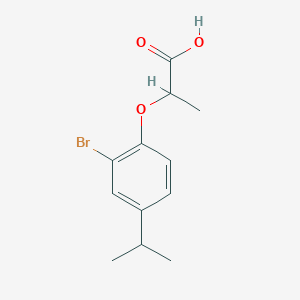 molecular formula C12H15BrO3 B7793528 2-(2-Bromo-4-isopropylphenoxy)propionic acid 