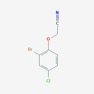 molecular formula C8H5BrClNO B7794123 2-(2-Bromo-4-chloro-phenoxy)acetonitrile 