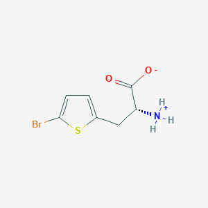 molecular formula C7H8BrNO2S B7794257 (2R)-2-azaniumyl-3-(5-bromothiophen-2-yl)propanoate 
