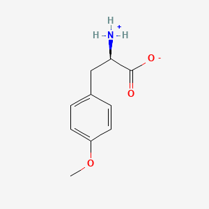 molecular formula C10H13NO3 B7794369 CID 6950204 