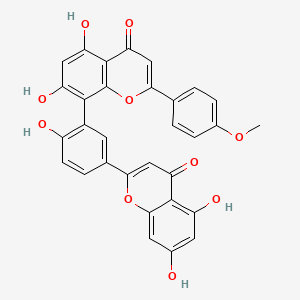 molecular formula C31H20O10 B7795207 杉黄素A CAS No. 41583-83-9