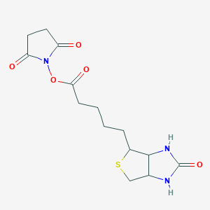 molecular formula C14H19N3O5S B7796521 2,5-Dioxopyrrolidin-1-yl 5-((3aS,4S,6aR)-2-oxohexahydro-1H-thieno[3,4-d]imidazol-4-yl)pentanoate 