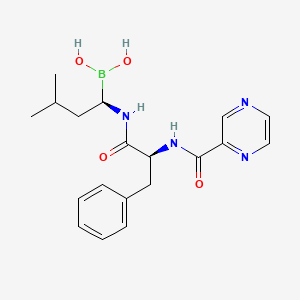 molecular formula C19H25BN4O4 B7796817 Bortezomib CAS No. 1610526-91-4