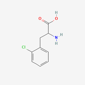 molecular formula C9H10ClNO2 B7797279 2-Amino-3-(2-chlorophenyl)propanoic acid CAS No. 1991-77-1