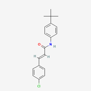 N-(4-Tert-butyl-phenyl)-3-(4-chloro-phenyl)-acrylamide