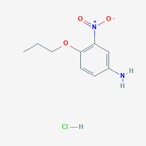 molecular formula C9H13ClN2O3 B7797338 3-Nitro-4-propoxyaniline hydrochloride 