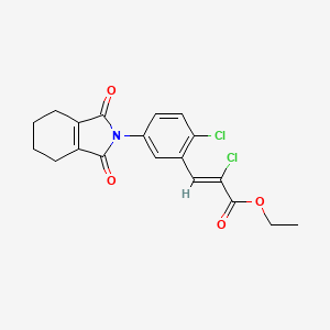molecular formula C19H17Cl2NO4 B7801945 Cinidon-ethyl CAS No. 132057-06-8
